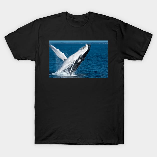 Whale of a time T-Shirt by lordveritas